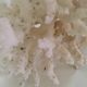 Corail ancien