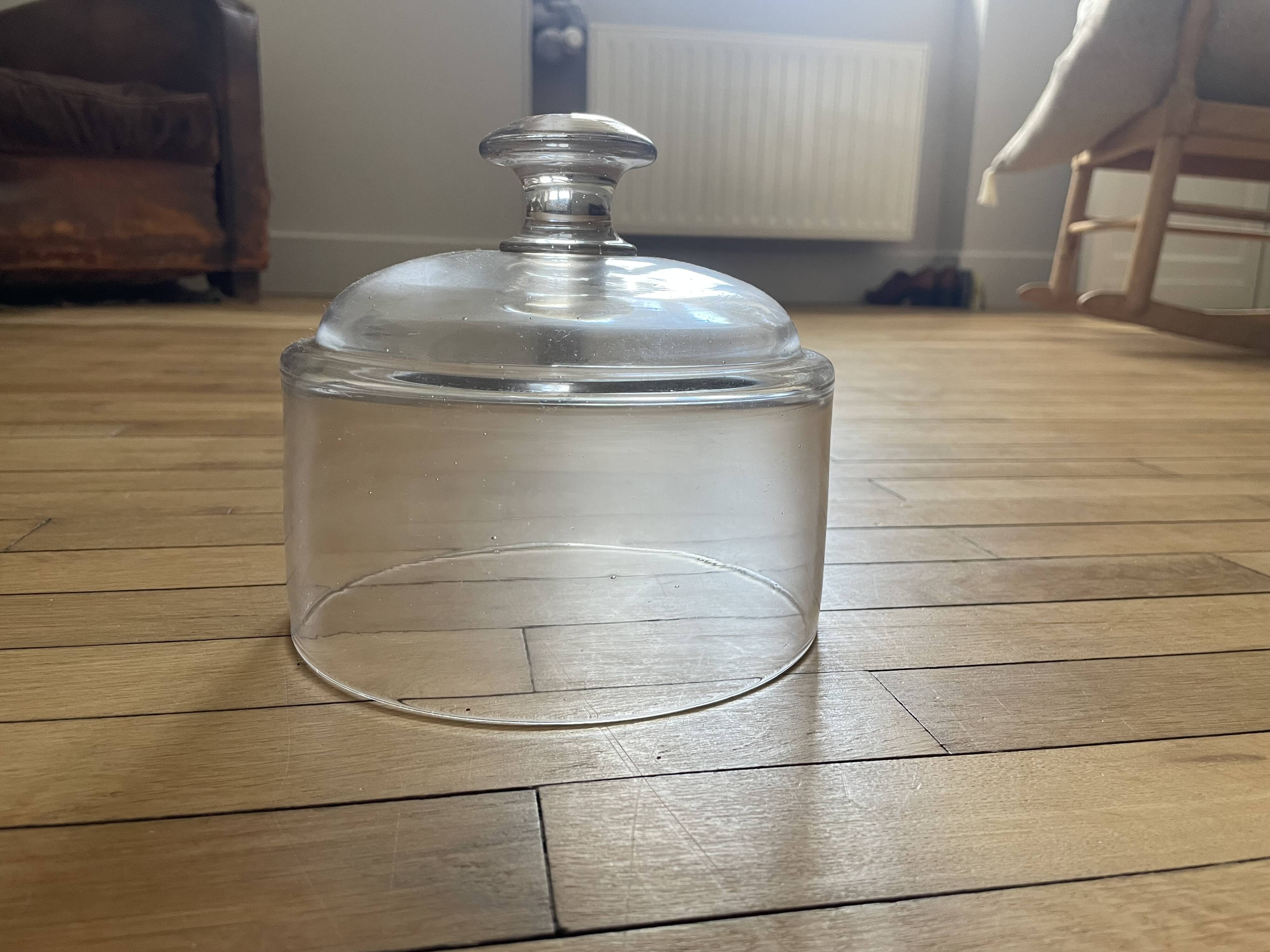 Glass cloche 251010