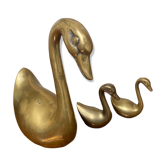 Cygnes laiton