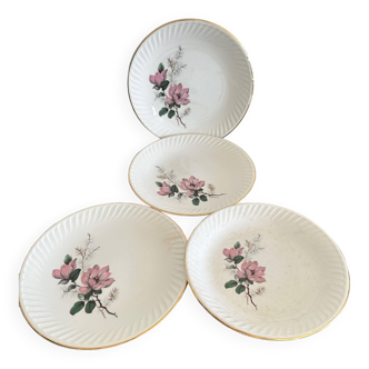 Set of gien plates