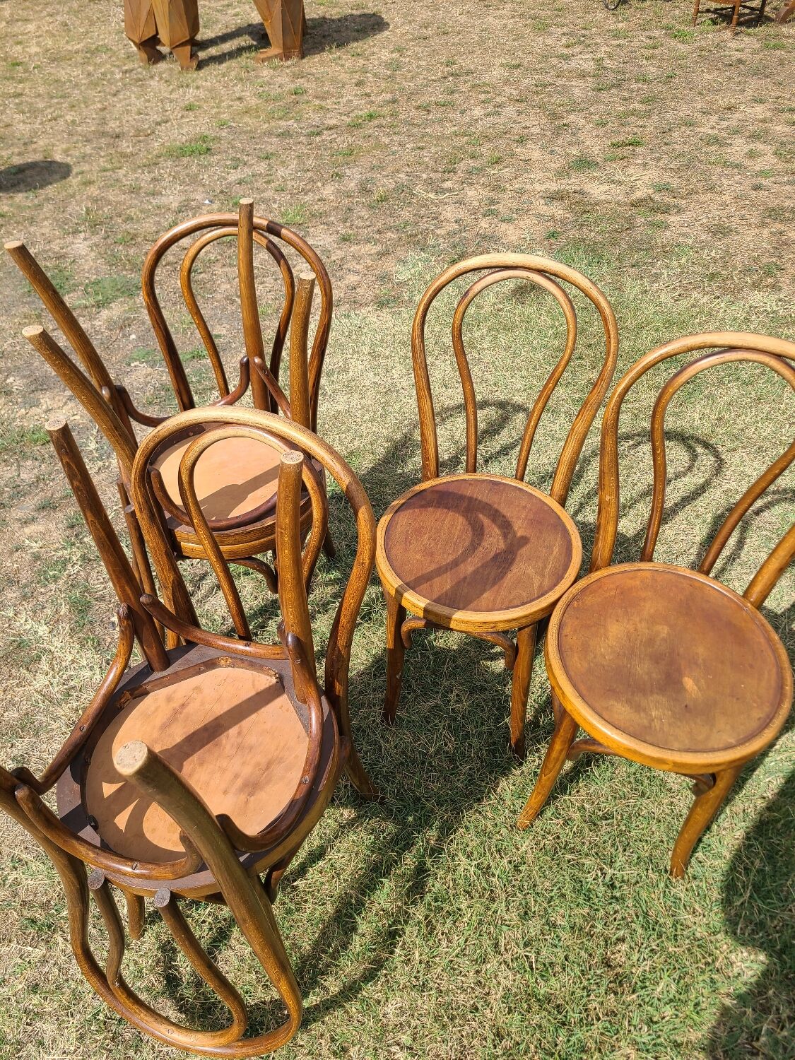 6 bentwood chairs early 20th