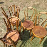 6 bentwood chairs early 20th