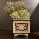 Sarreguemines, pot cache, gardener in earthenware XIXth