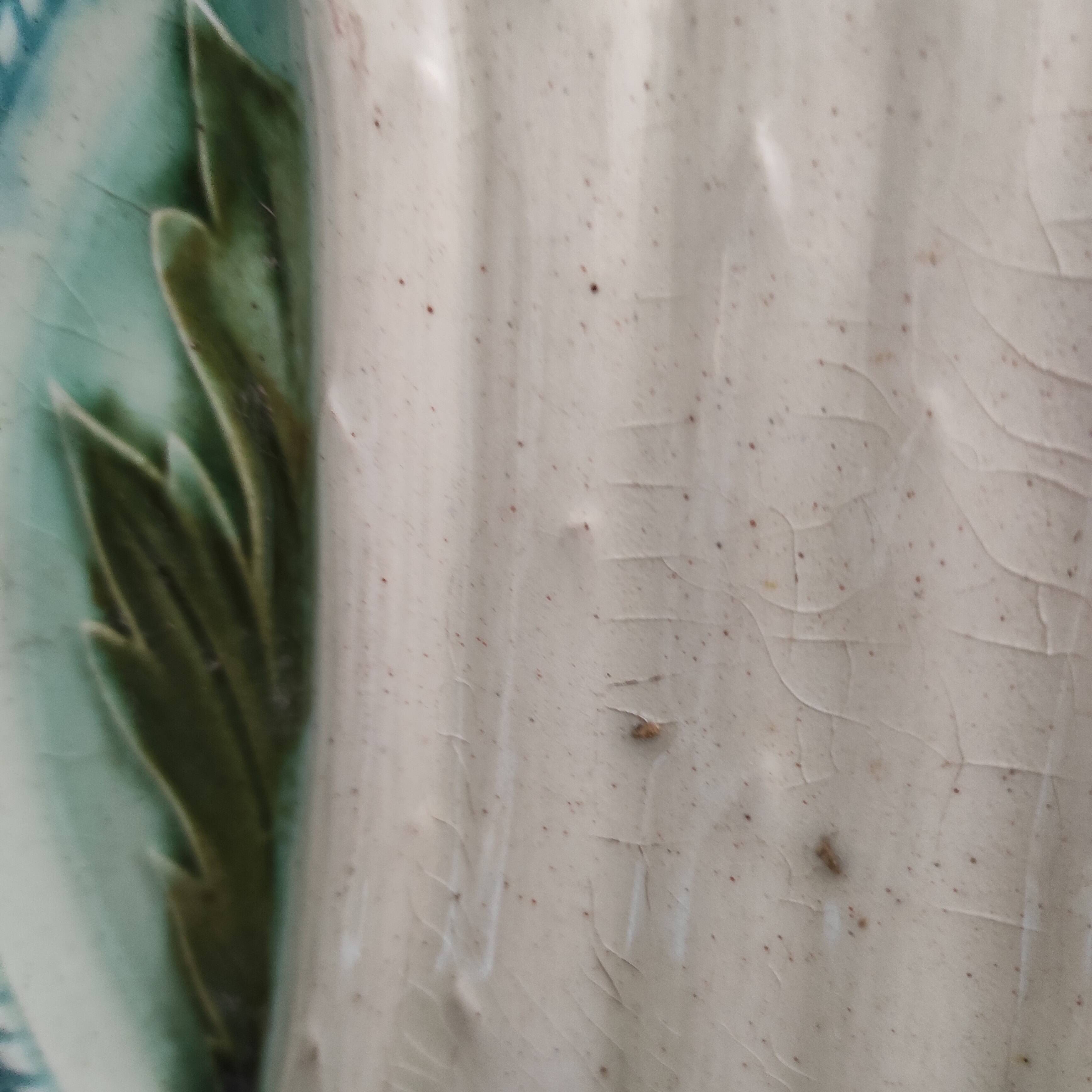 French antique asparagus dish, majolica, barbotine