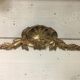 Fronton coquille en bronze