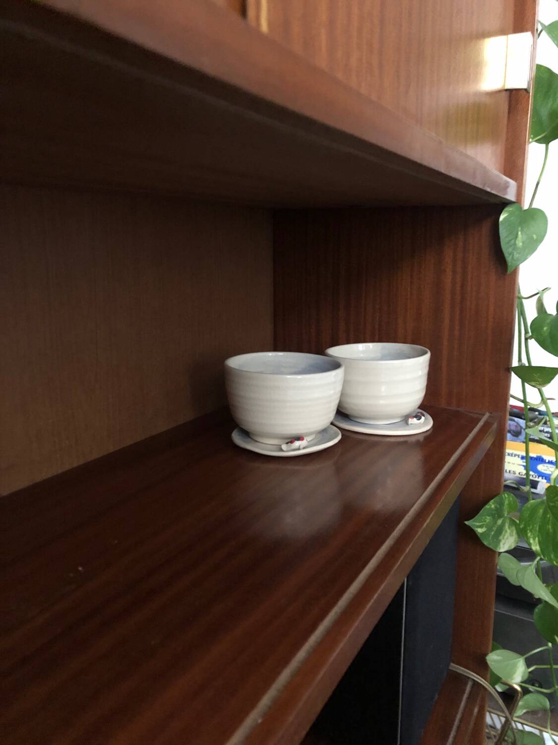 Armoire / bibliothèque placage teck