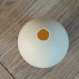 Ostrich egg with support