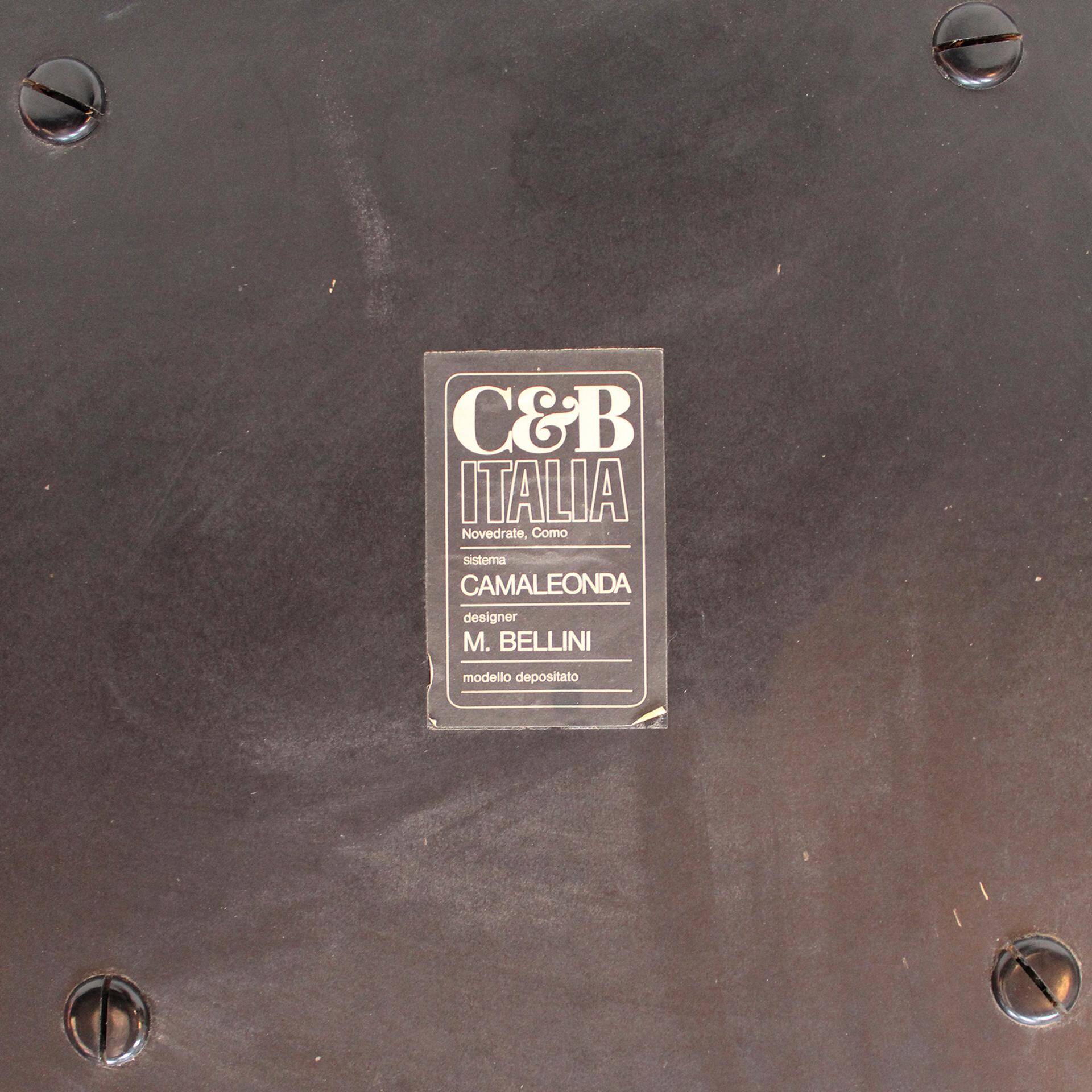 White Modular Sofa Model Camaleonda Designed By Mario Bellini. Italy 1970