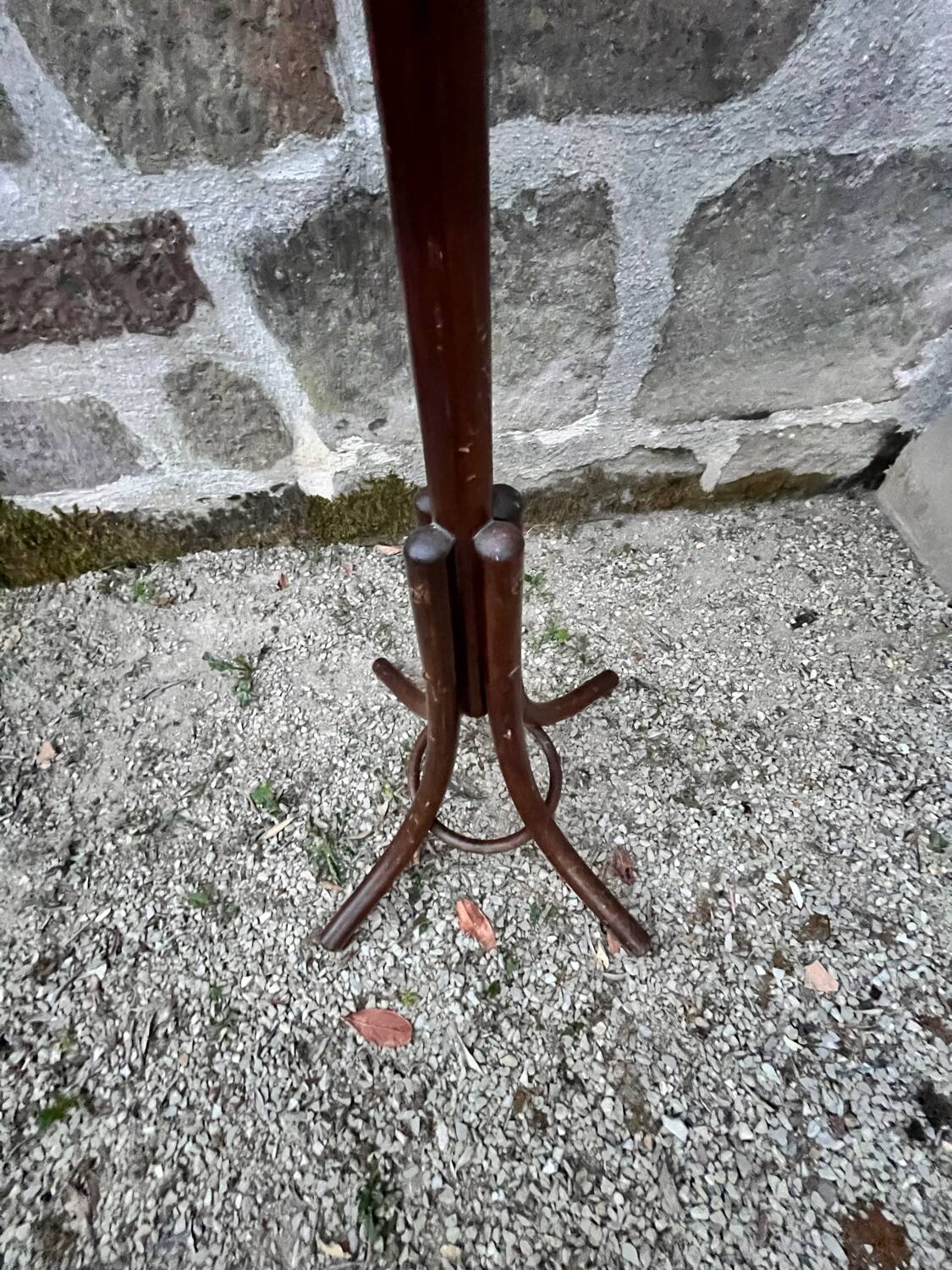 Coat rack parrot