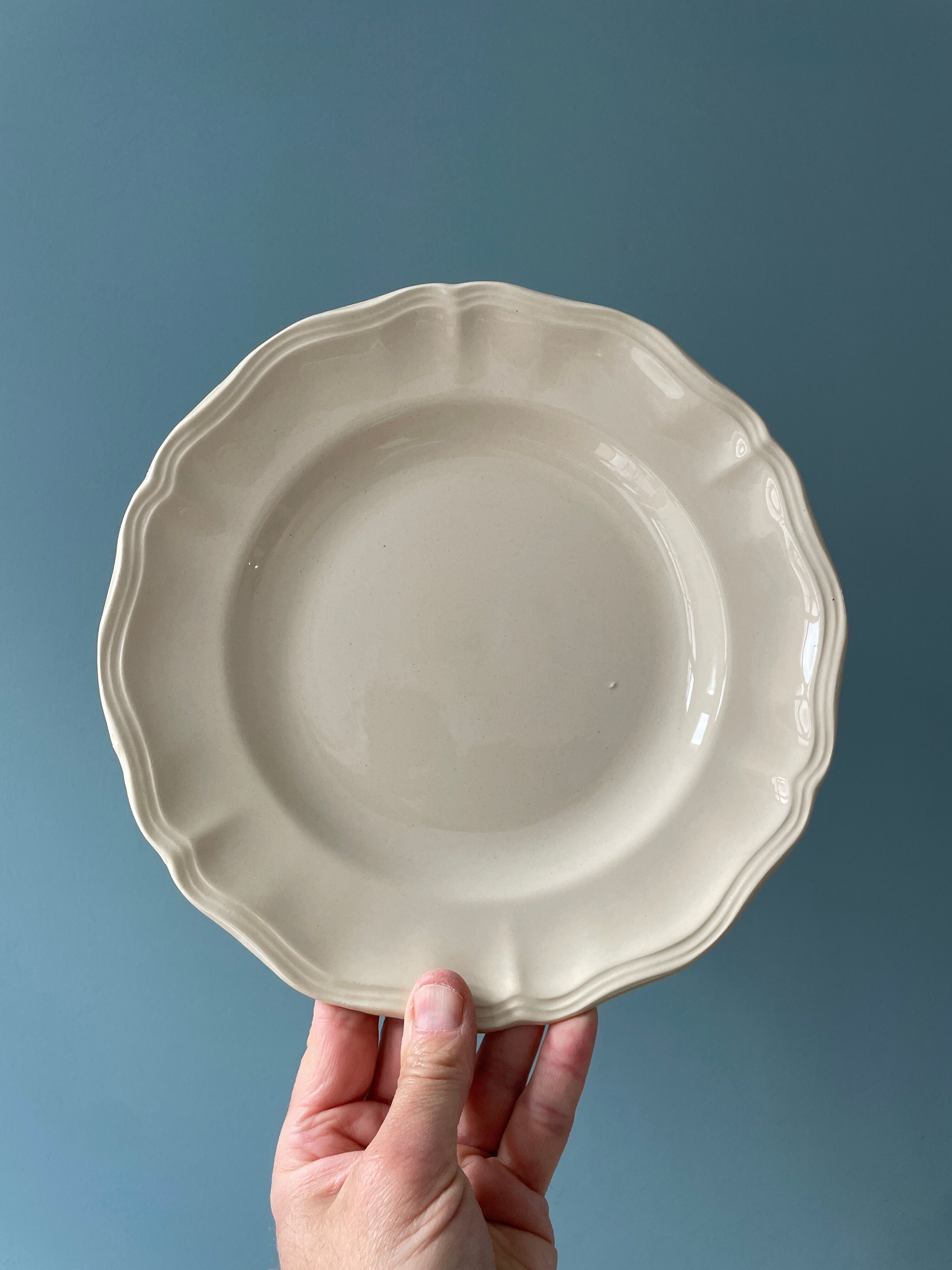 Set of 11 flat earthenware plates from Sarreguemines France