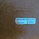 Lot de 6 chaises DSS Charles & Ray Eames pour Herman Miller Edition Vitra