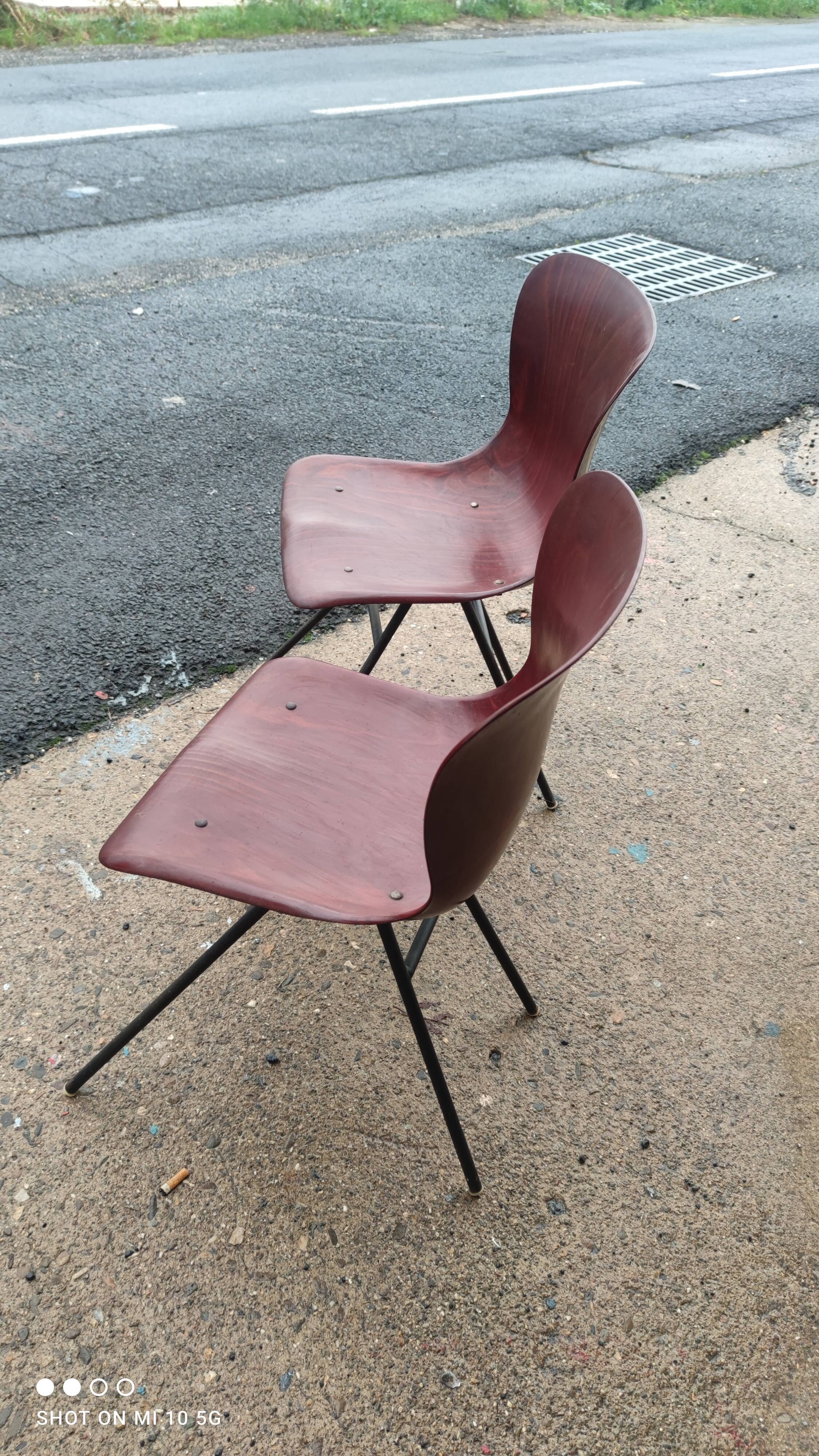 Pair of Pagholz chairs, Model 15074, by Elmar Flottoto in 1956