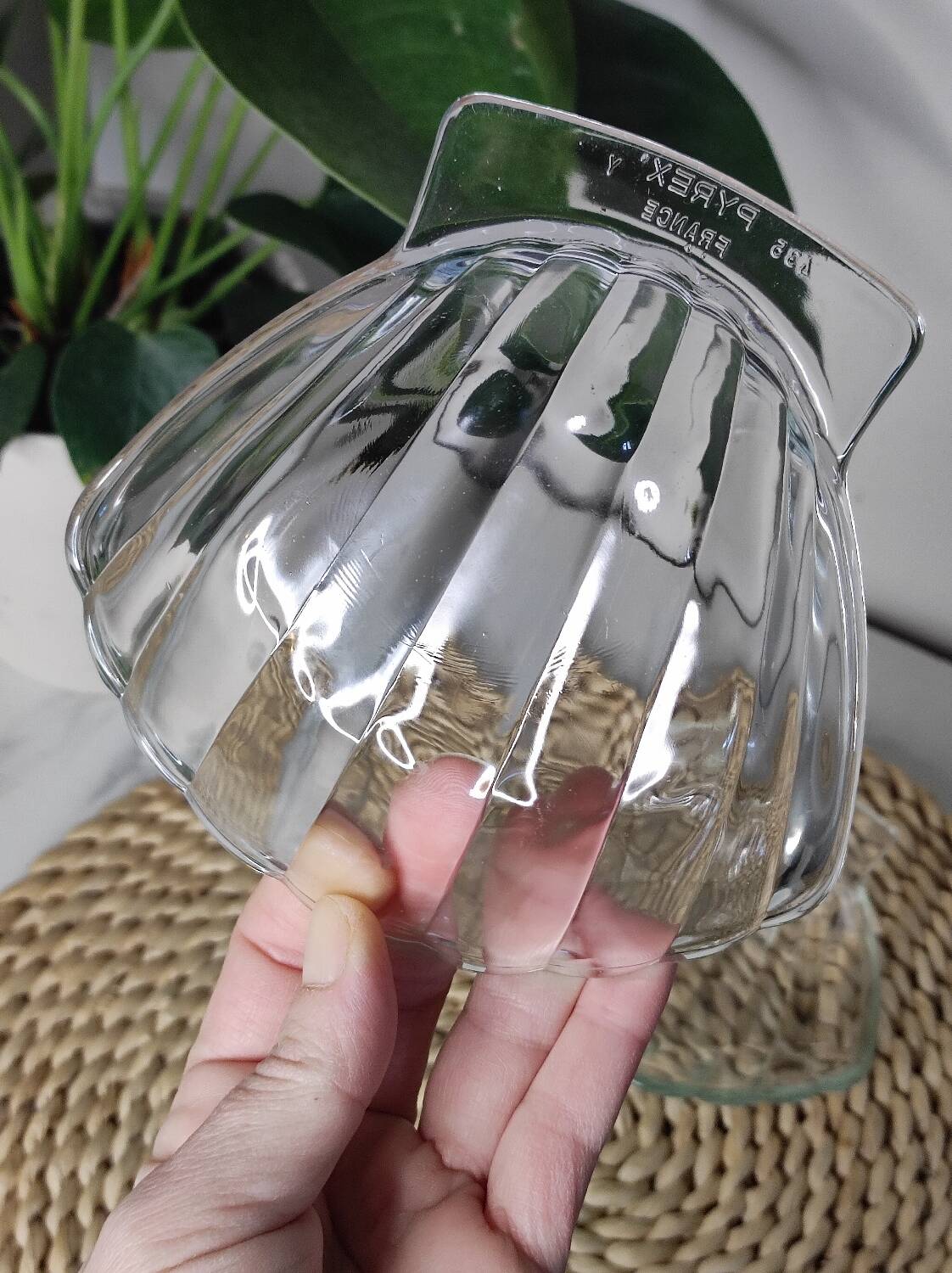 Shell-shaped glass bowls