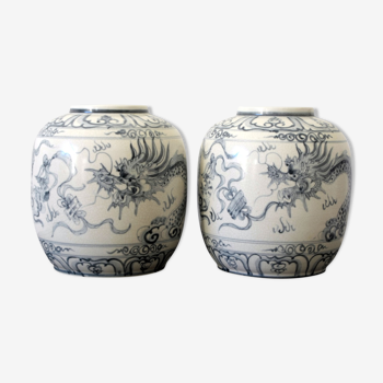 Pair of vases decorated with dragons