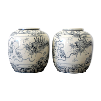 Pair of vases decorated with dragons
