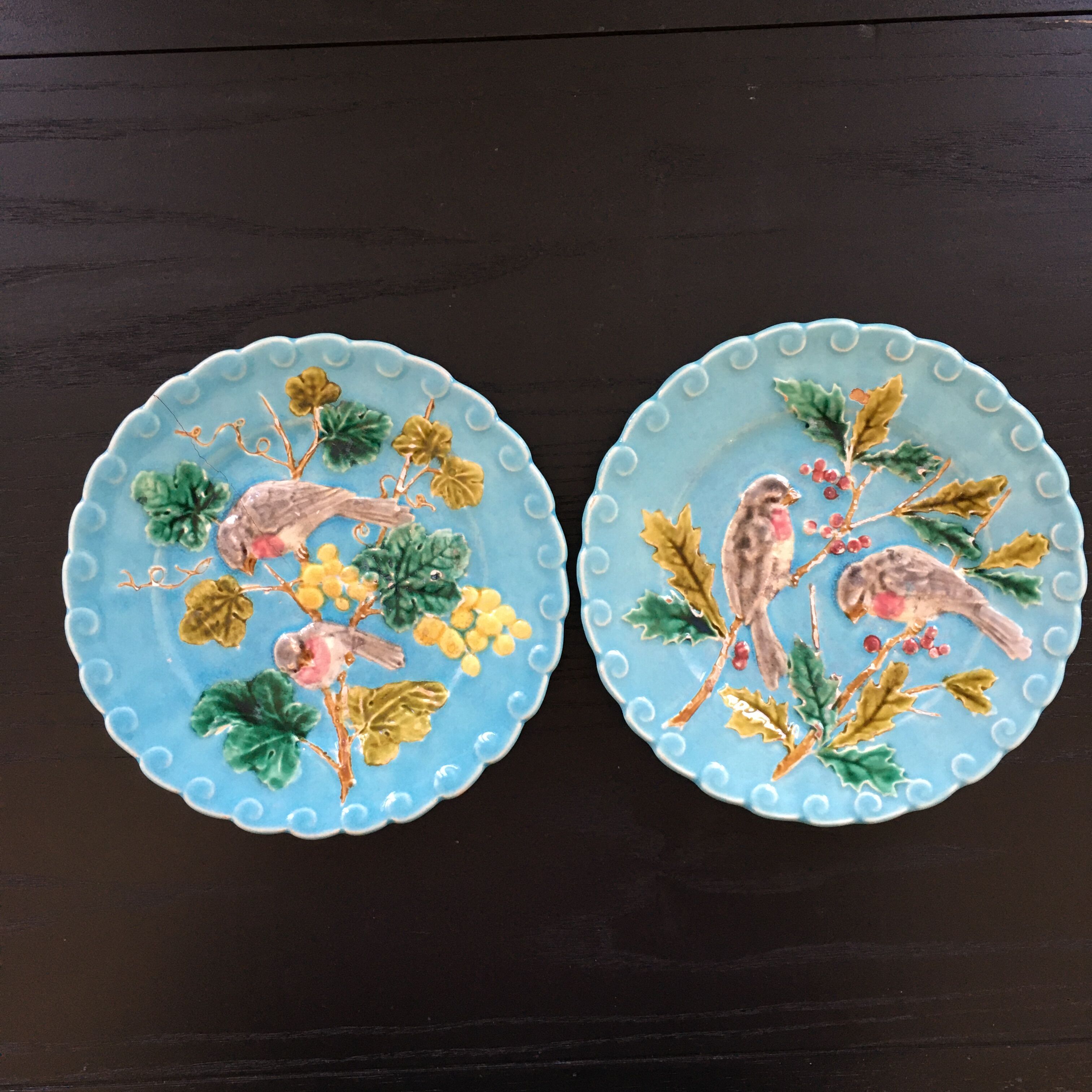 Pair of plates dabbling birds