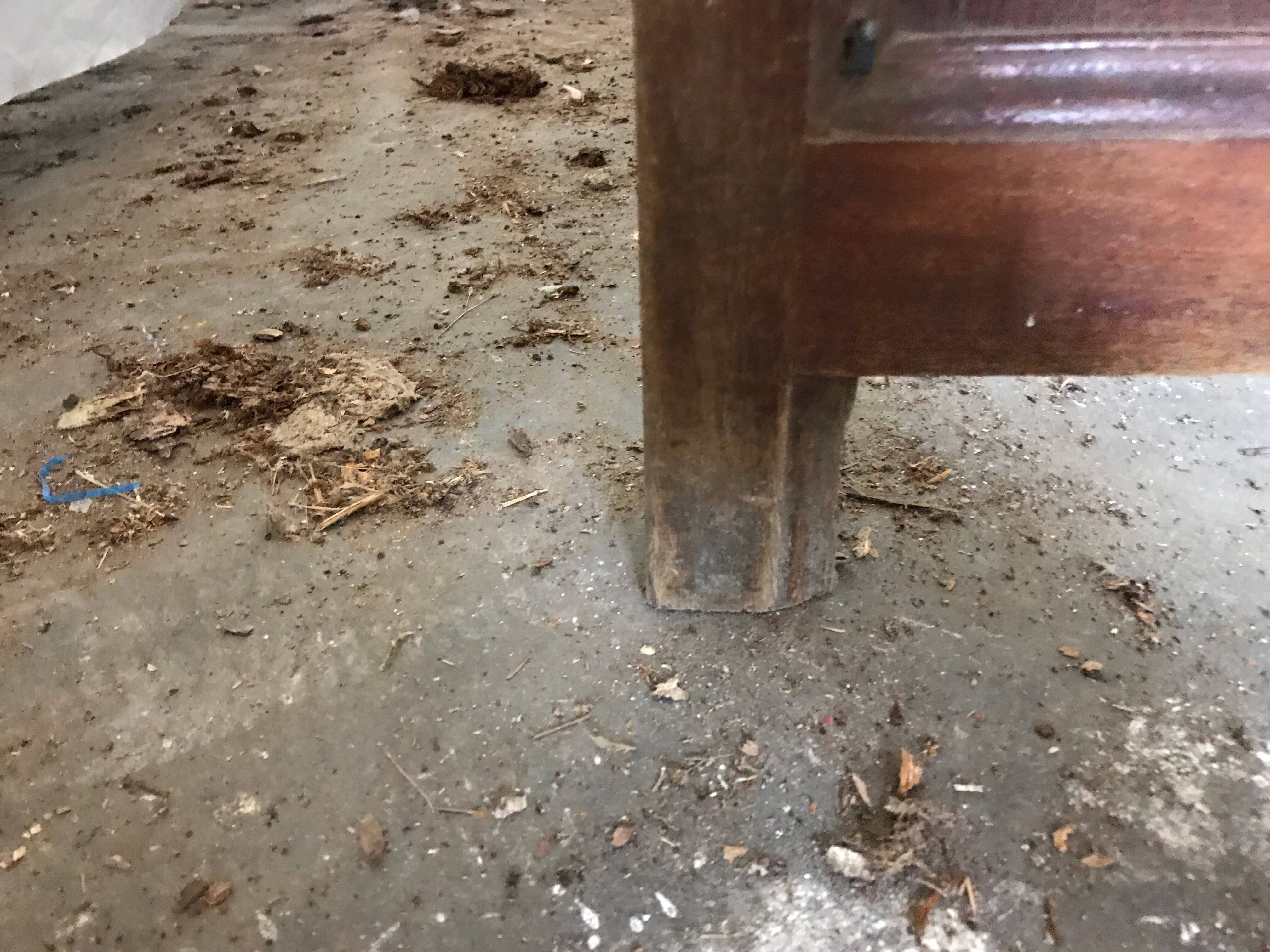 Boiserie murale