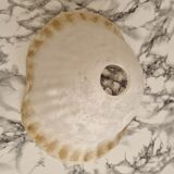 Paire d'abat-jours en verre vintage