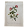 Botanical lithograph PJ Redouté Rosier des Hayes