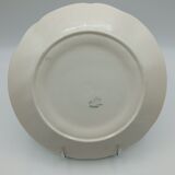 Asparagus plates in dabbling