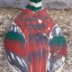 Canard (ancien appeau) en bois peint