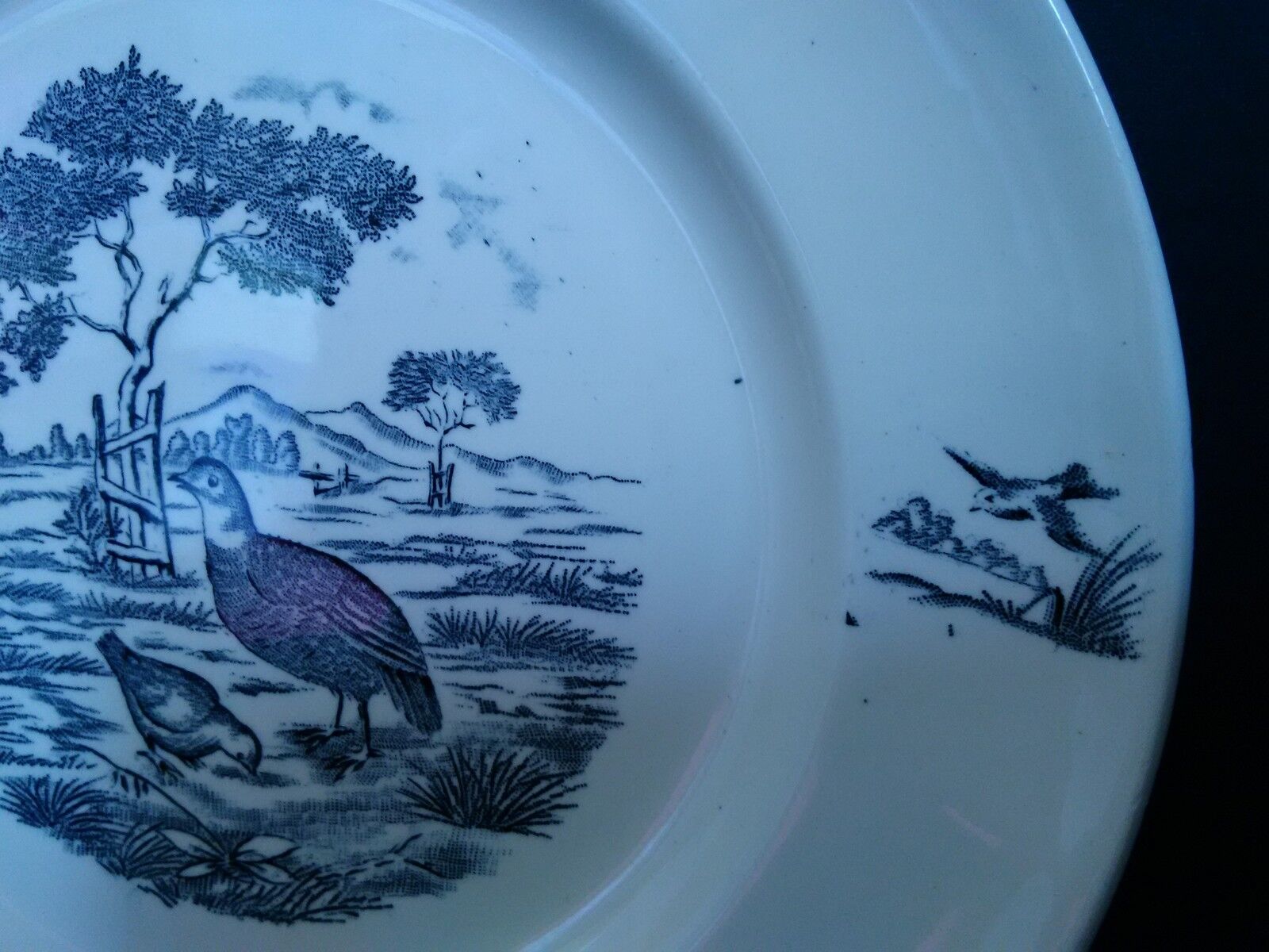 Longchamp earthenware plate burgundy décor