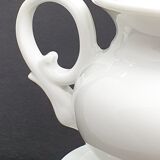 Porcelain herbal tea pot