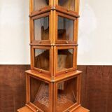 Original Globe Wernicke English Display Museum Cabinet