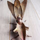 Cendrier mouche en laiton