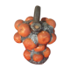 Pitcher slurry bunch of Spanish orange