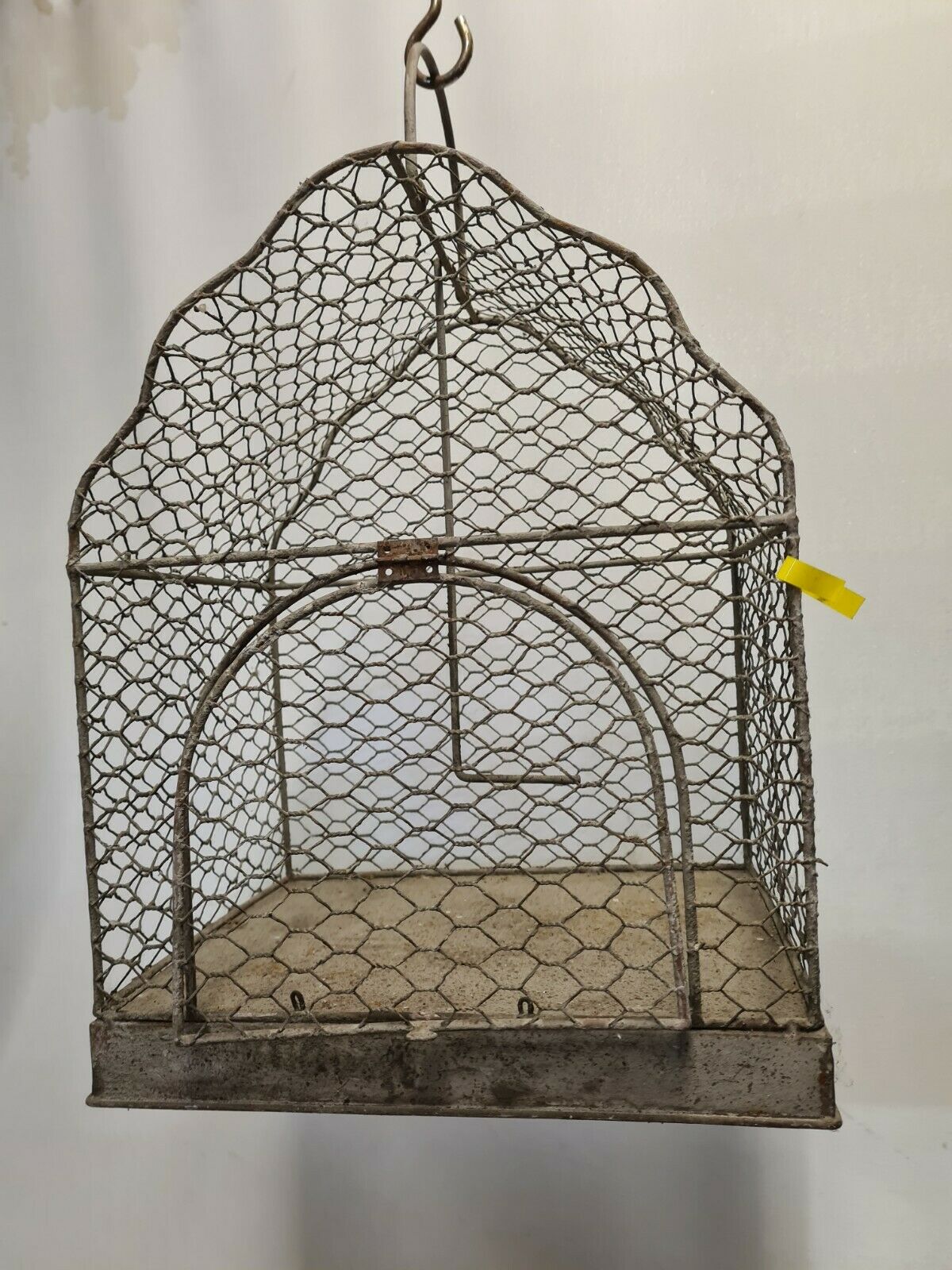 Iron bird cage