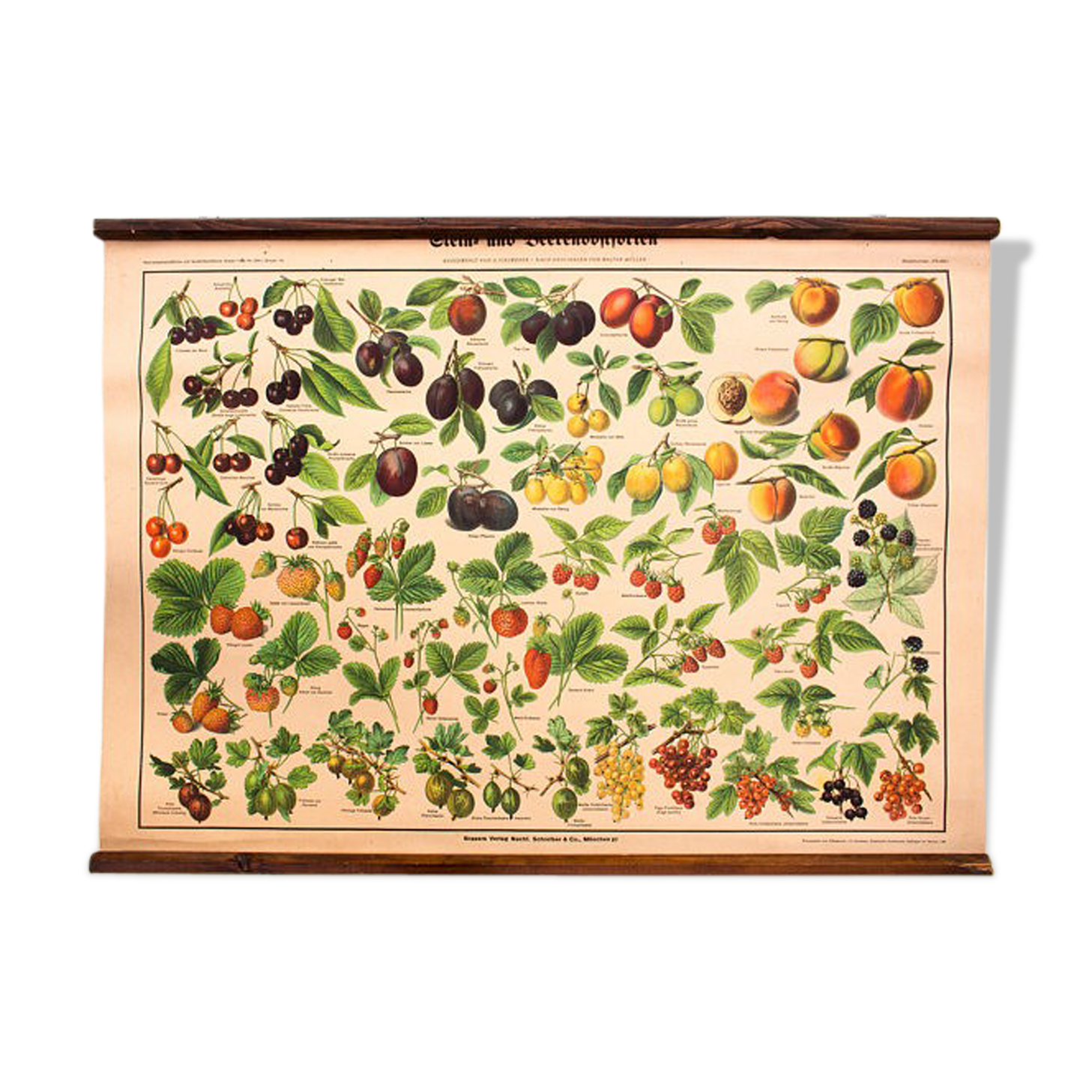 Fruit and berries poster Osetprint published by J. F. Schreiber 1949