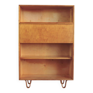 Secrétaire cees braakman