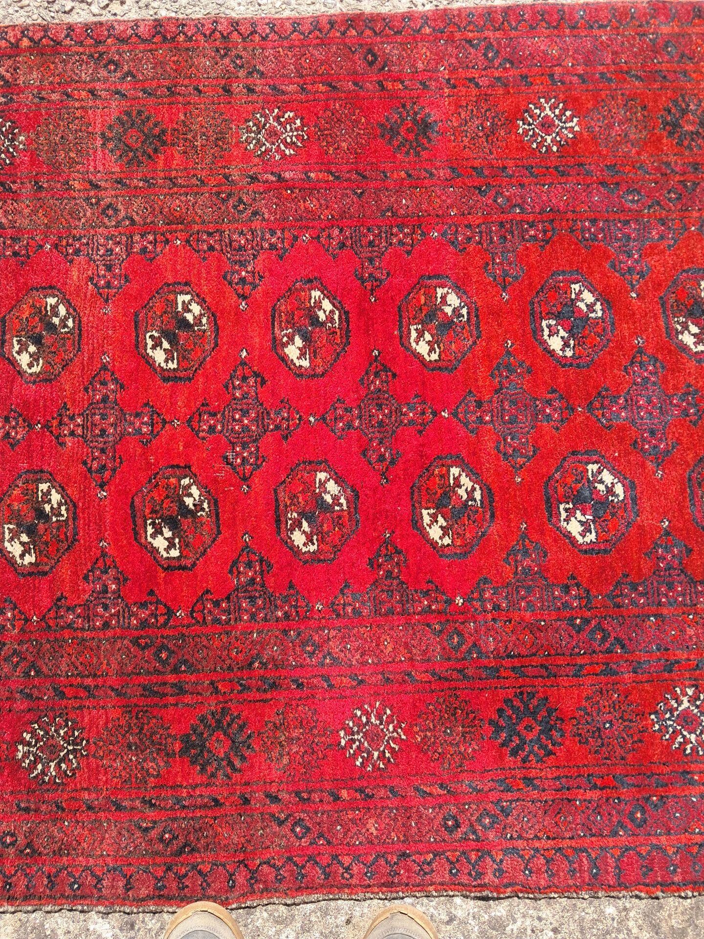Tapis afghan, moyenne taille