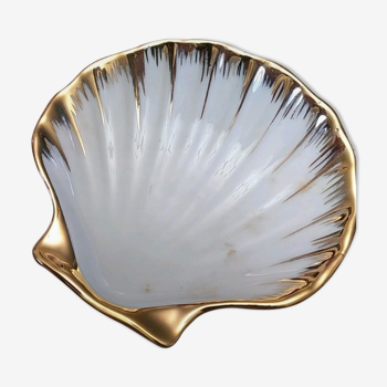 Cup type shell st jacques