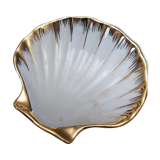 Cup type shell st jacques
