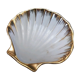 Coupelle type coquille st jacques