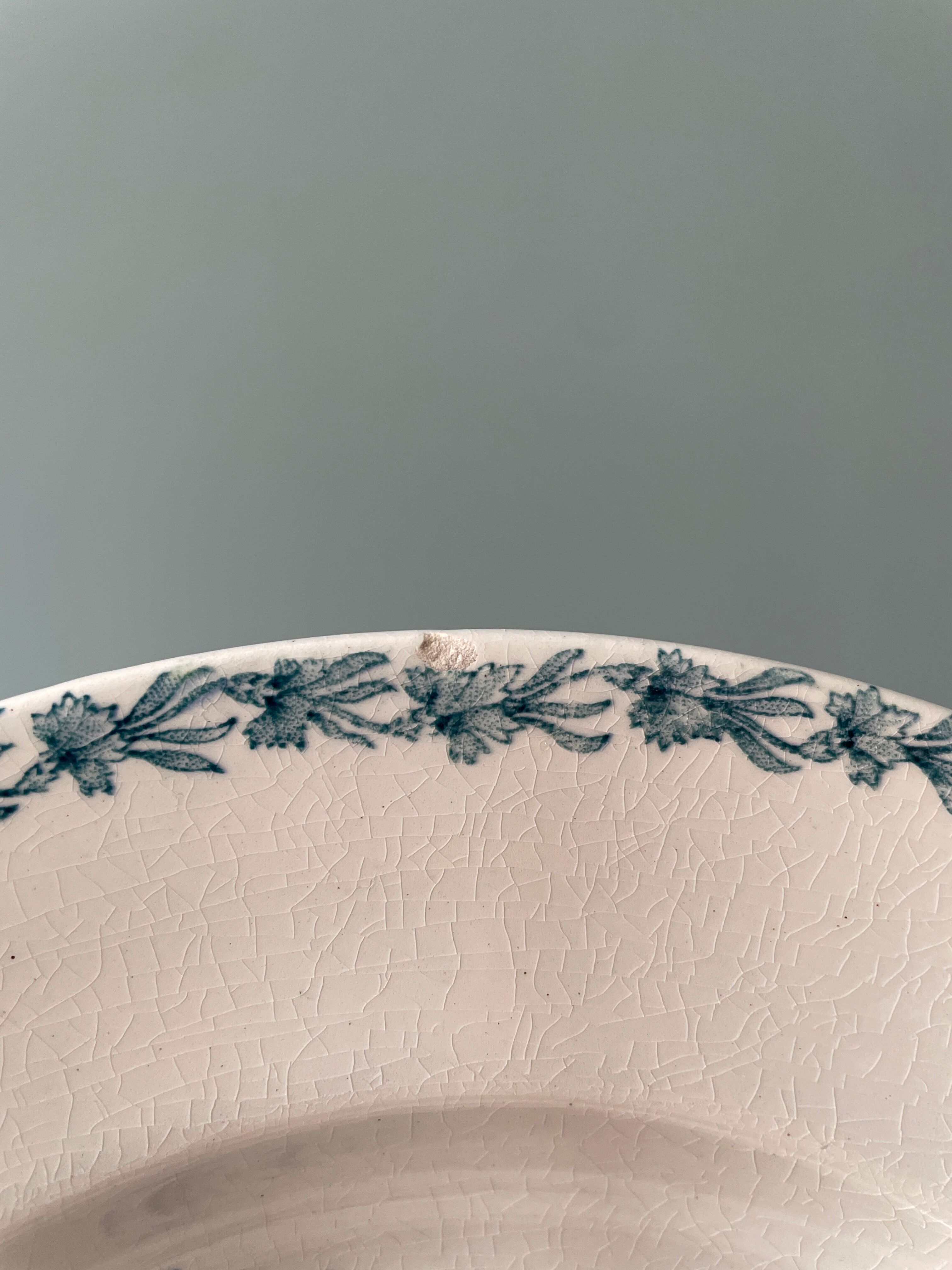 Set of 7 hollow plates Terre de Fer K.G Lunéville, model "carnation"