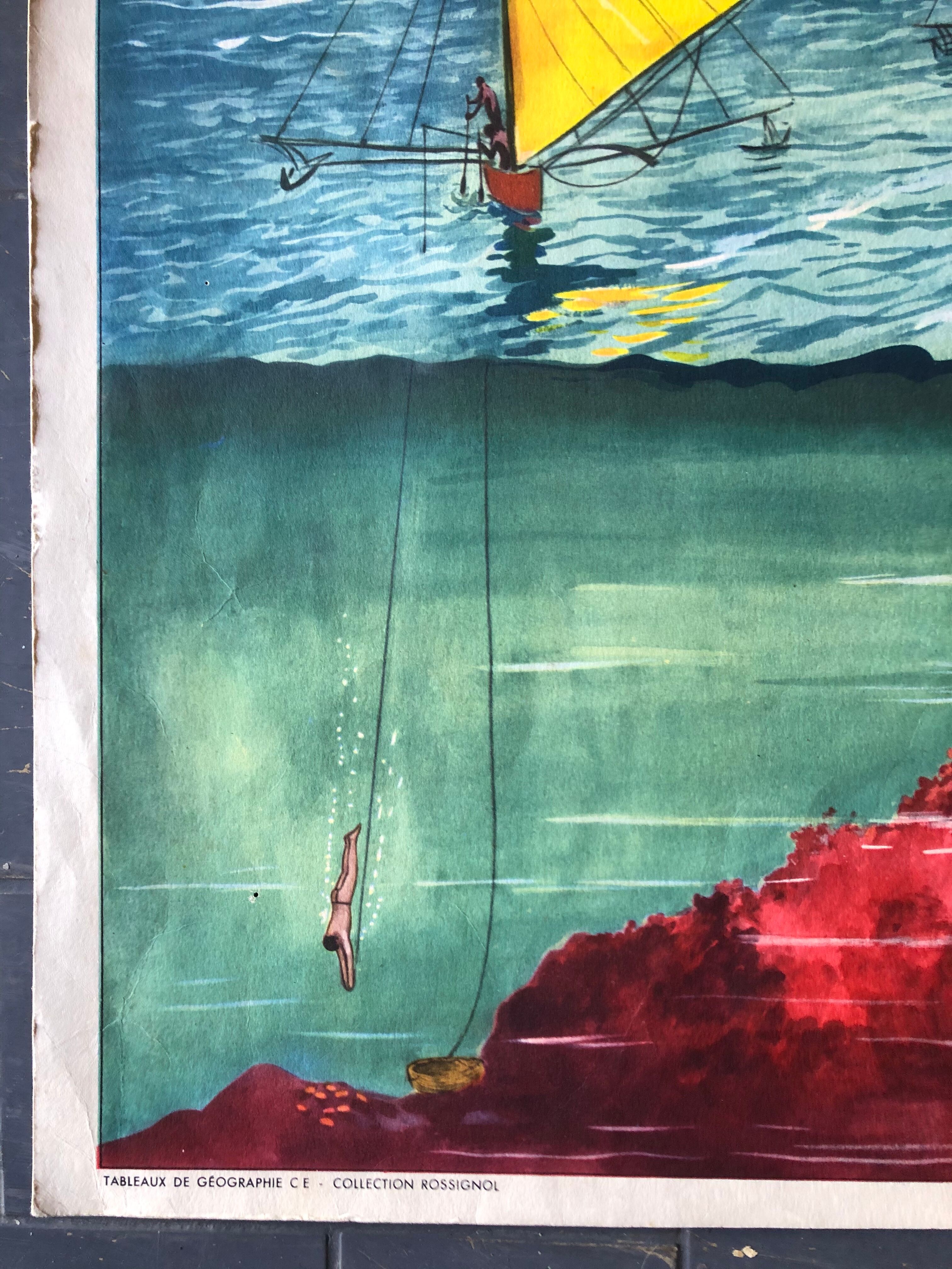 Ancient pedagogical poster