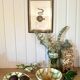 Set of dishes Moulin des loups