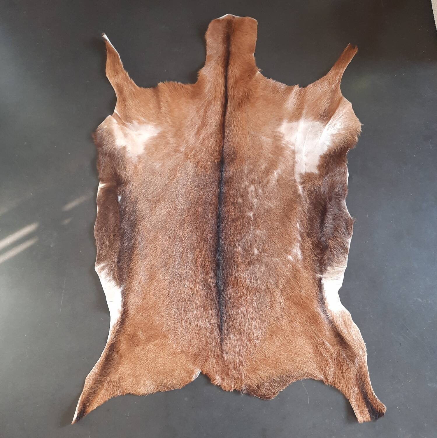 Goat skin 135 cm x 88 cm