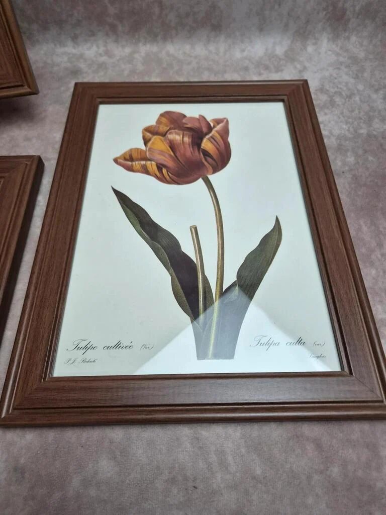 Lot de 3 cadres botaniques P.j. Redouté – Roses & tulipe