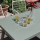 Old table Tolix T55 water green color 110x65