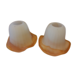 Set of 2 shades