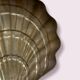 Golden Shell Brass Cup