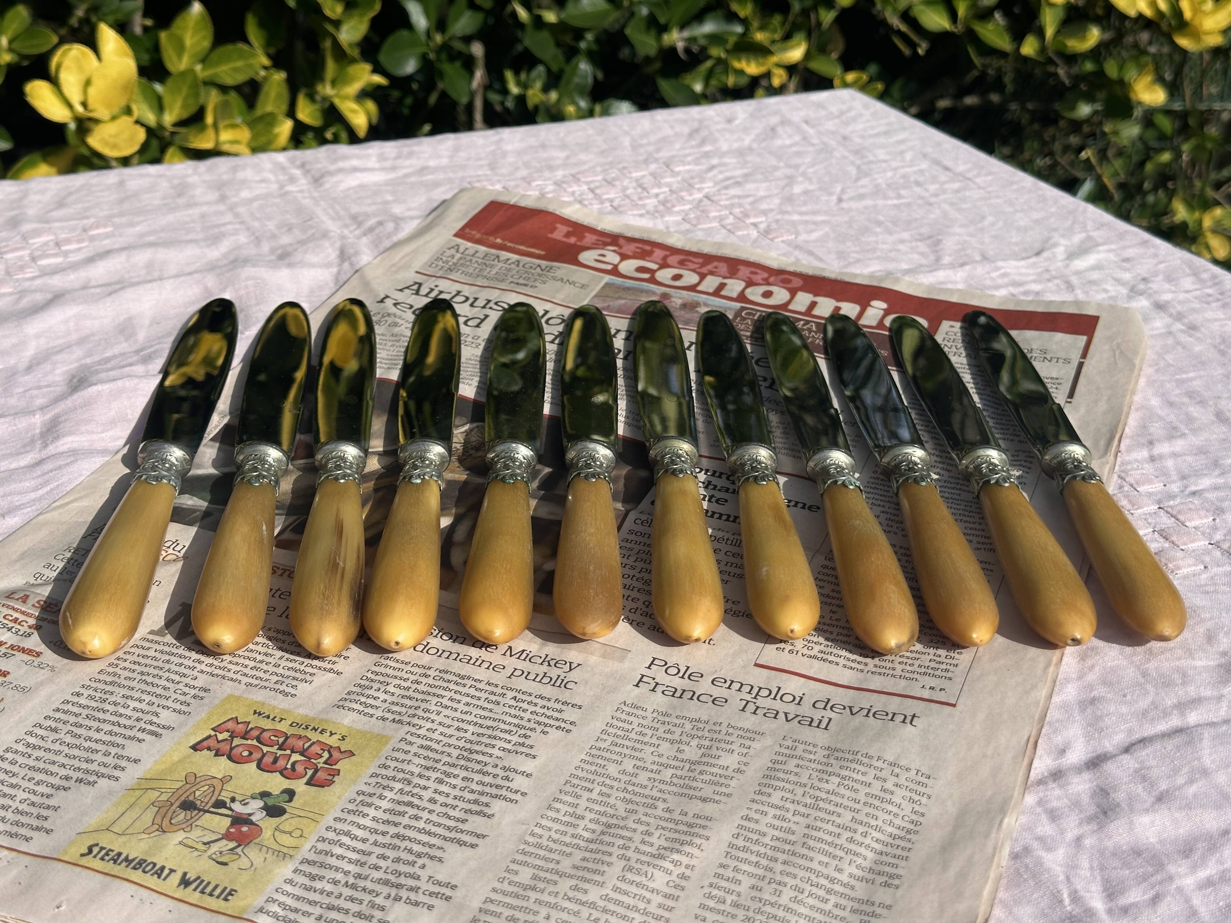 Set of 12 Antique Art Nouveau Table Knives - Tableware