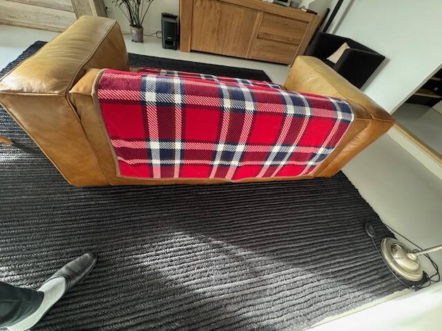 Flamant leather sofa