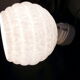 Clichy glass wall lamp with porcelain support 50s