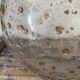 New electrified gold glitter glass pendant lamp