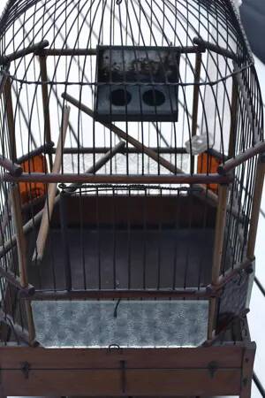 Old bird cage